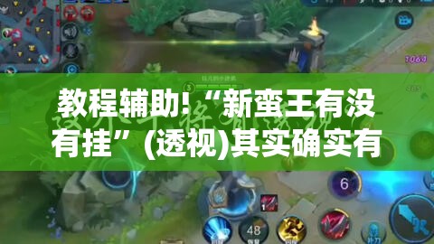 教程辅助!“新蛮王有没有挂	”(透视)其实确实有挂