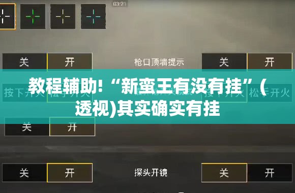 教程辅助!“新蛮王有没有挂”(透视)其实确实有挂
