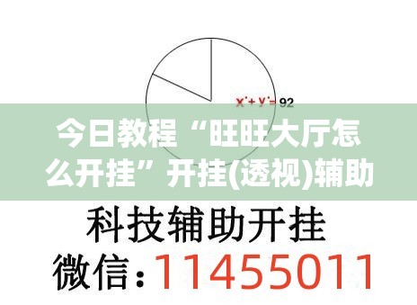 今日教程“旺旺大厅怎么开挂”开挂(透视)辅助神器