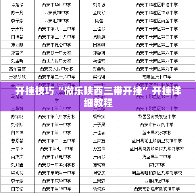 开挂技巧“微乐陕西三带开挂”开挂详细教程