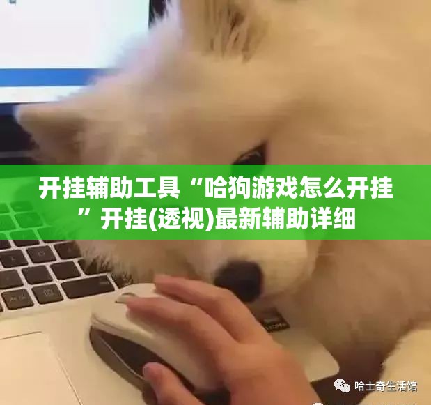 开挂辅助工具“哈狗游戏怎么开挂”开挂(透视)最新辅助详细