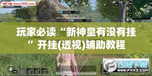 玩家必读“新神皇有没有挂	”开挂(透视)辅助教程
