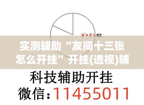 实测辅助“友间十三张怎么开挂”开挂(透视)辅助教程