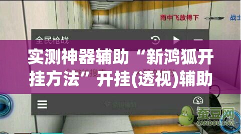 实测神器辅助“新鸿狐开挂方法”开挂(透视)辅助教程