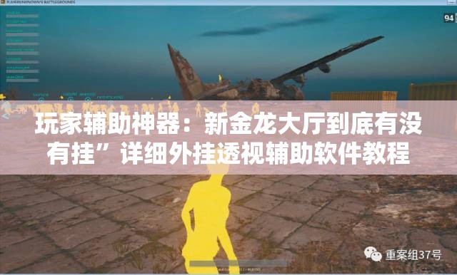 玩家辅助神器：新金龙大厅到底有没有挂”详细外挂透视辅助软件教程