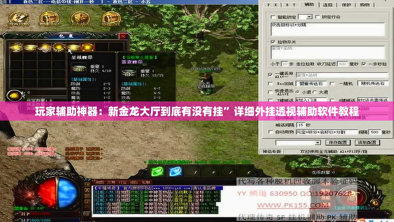 玩家辅助神器：新金龙大厅到底有没有挂”详细外挂透视辅助软件教程