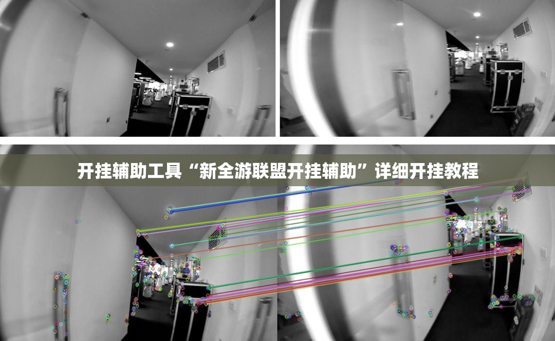 开挂辅助工具“新全游联盟开挂辅助”详细开挂教程