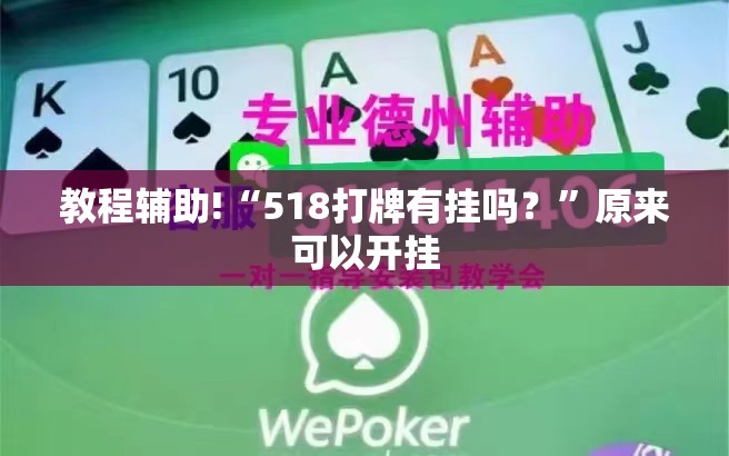 教程辅助!“518打牌有挂吗？”原来可以开挂