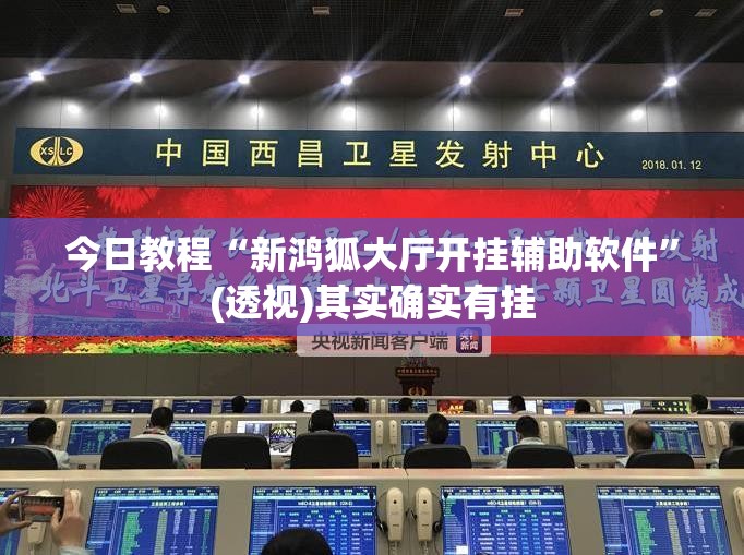 今日教程“新鸿狐大厅开挂辅助软件	”(透视)其实确实有挂