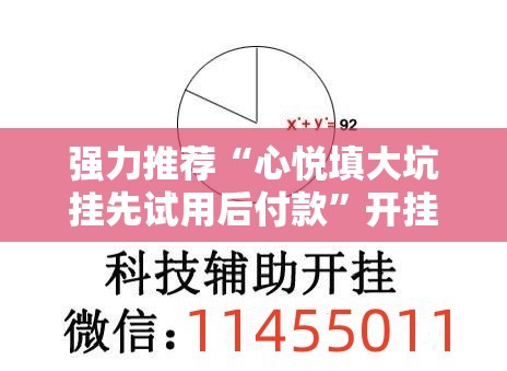 强力推荐“心悦填大坑挂先试用后付款”开挂辅助脚本+详细开挂安装教程
