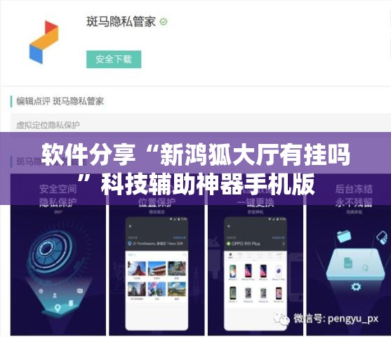 软件分享“新鸿狐大厅有挂吗	”科技辅助神器手机版
