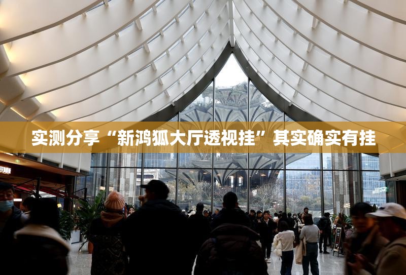 实测分享“新鸿狐大厅透视挂”其实确实有挂