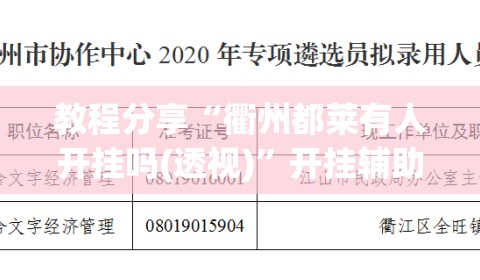 教程分享“衢州都莱有人开挂吗(透视)”开挂辅助脚本+详细开挂安装教程