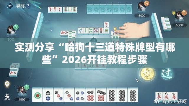 实测分享“哈狗十三道特殊牌型有哪些	”2026开挂教程步骤