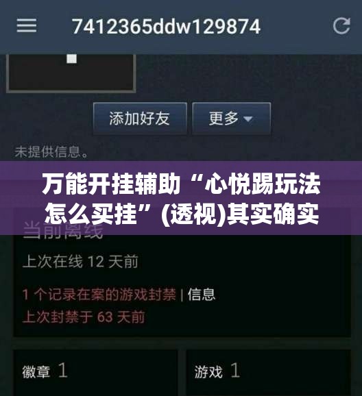 万能开挂辅助“心悦踢玩法怎么买挂”(透视)其实确实有挂