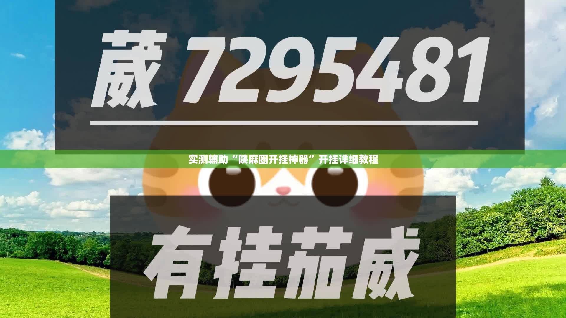 实测辅助“陕麻圈开挂神器”开挂详细教程
