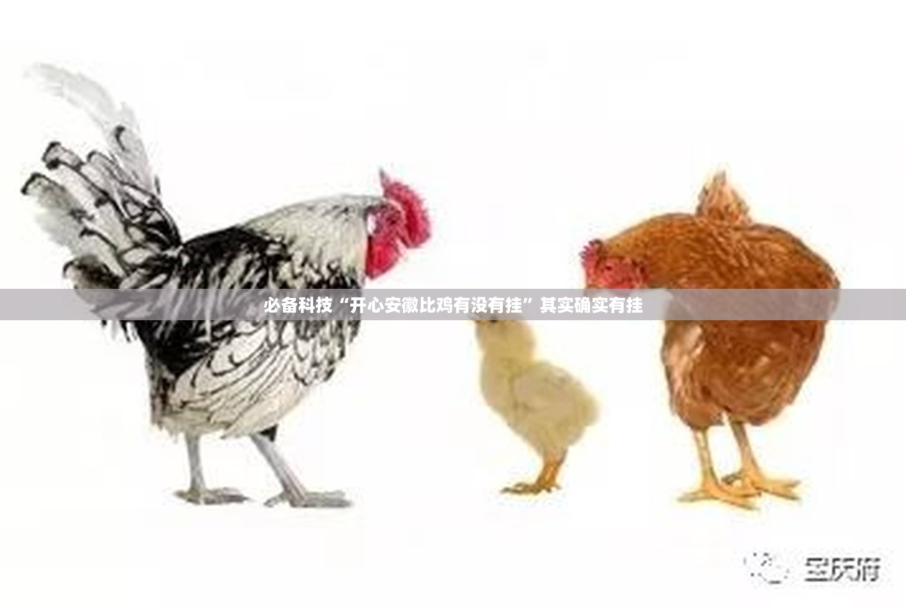 必备科技“开心安徽比鸡有没有挂”其实确实有挂