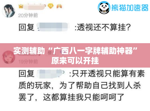 实测辅助“广西八一字牌辅助神器”原来可以开挂