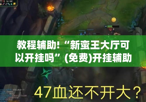 教程辅助!“新蛮王大厅可以开挂吗”(免费)开挂辅助教学(最新辅助开挂教程)