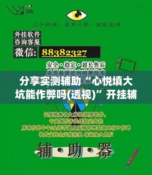 分享实测辅助“心悦填大坑能作弊吗(透视)”开挂辅助脚本+详细开挂安装教程