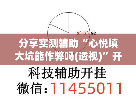 分享实测辅助“心悦填大坑能作弊吗(透视)	”开挂辅助脚本+详细开挂安装教程