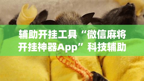 辅助开挂工具“微信麻将开挂神器App”科技辅助神器手机版
