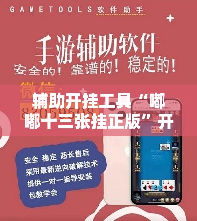 辅助开挂工具“嘟嘟十三张挂正版	”开挂详细教程