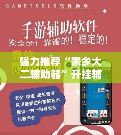 强力推荐“家乡大二辅助器”开挂辅助脚本+详细开挂安装教程