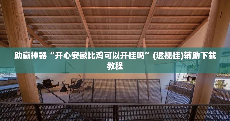 助赢神器“开心安徽比鸡可以开挂吗”(透视挂)辅助下载教程