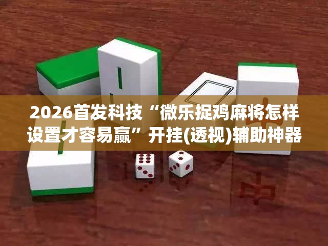 2026首发科技“微乐捉鸡麻将怎样设置才容易赢”开挂(透视)辅助神器