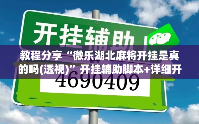 教程分享“微乐湖北麻将开挂是真的吗(透视)	”开挂辅助脚本+详细开挂安装教程