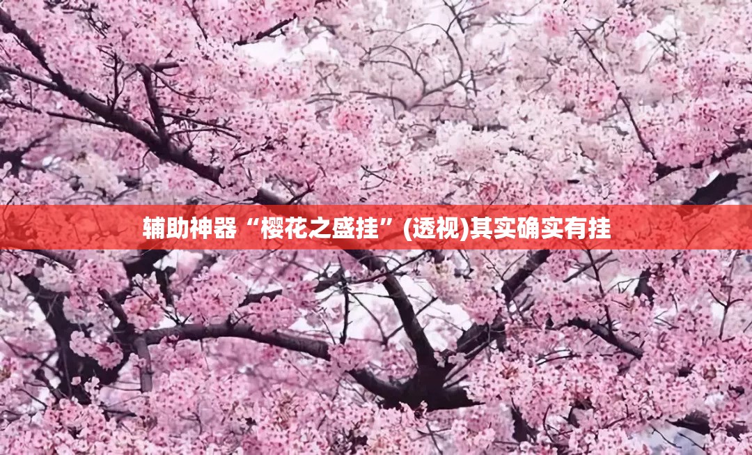 辅助神器“樱花之盛挂”(透视)其实确实有挂