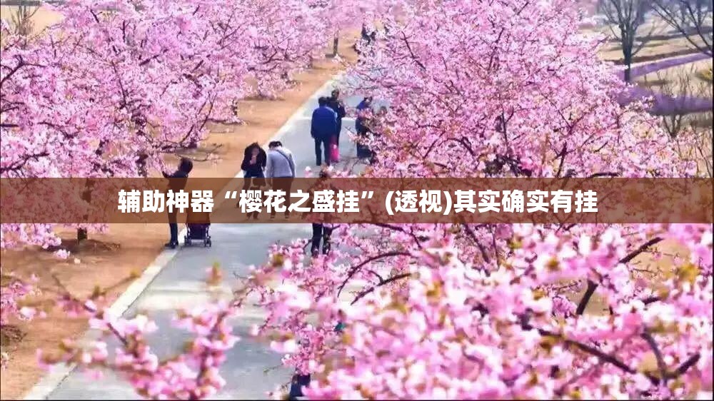 辅助神器“樱花之盛挂	”(透视)其实确实有挂