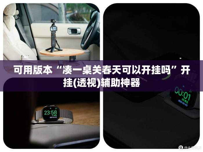 可用版本“凑一桌关春天可以开挂吗”开挂(透视)辅助神器