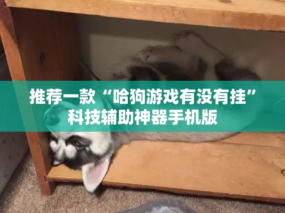 推荐一款“哈狗游戏有没有挂”科技辅助神器手机版