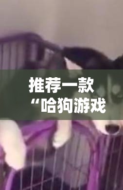 推荐一款“哈狗游戏有没有挂	”科技辅助神器手机版