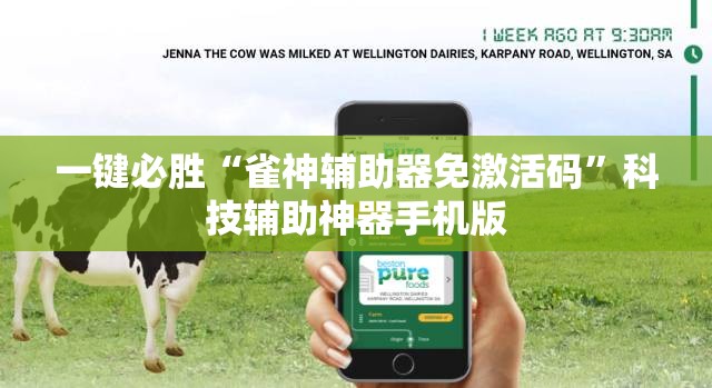 一键必胜“雀神辅助器免激活码”科技辅助神器手机版
