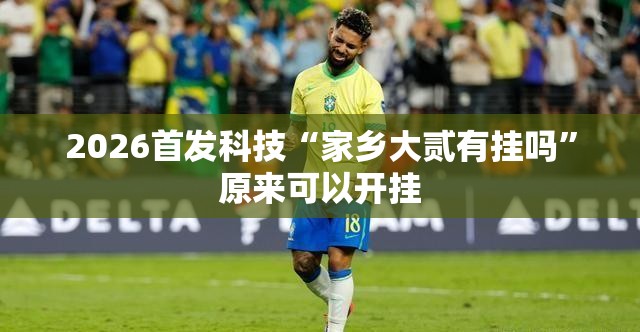 2026首发科技“家乡大贰有挂吗	”原来可以开挂