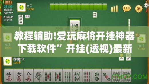 教程辅助!爱玩麻将开挂神器下载软件”开挂(透视)最新辅助详细