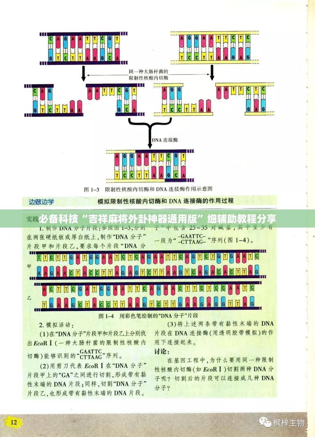 必备科技“吉祥麻将外卦神器通用版”细辅助教程分享