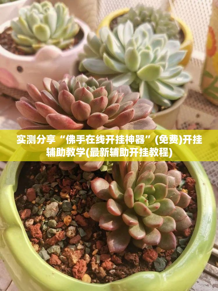 实测分享“佛手在线开挂神器	”(免费)开挂辅助教学(最新辅助开挂教程)