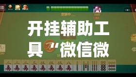 开挂辅助工具“微信微乐麻将免费开挂手机版(透视)”开挂辅助脚本+详细开挂安装教程