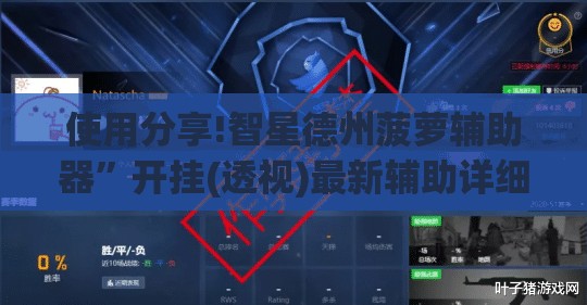 使用分享!智星德州菠萝辅助器”开挂(透视)最新辅助详细