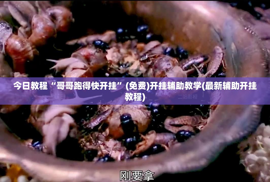 今日教程“哥哥跑得快开挂	”(免费)开挂辅助教学(最新辅助开挂教程)