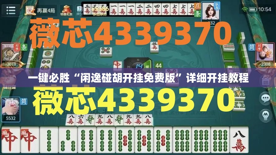 一键必胜“闲逸碰胡开挂免费版”详细开挂教程