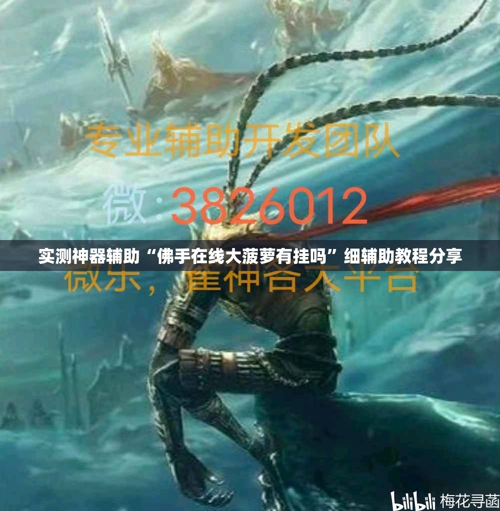 实测神器辅助“佛手在线大菠萝有挂吗”细辅助教程分享