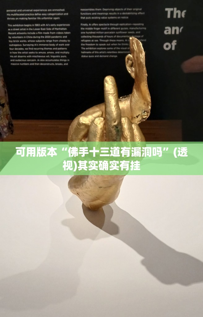 可用版本“佛手十三道有漏洞吗”(透视)其实确实有挂