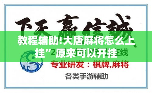 教程辅助!大唐麻将怎么上挂	”原来可以开挂