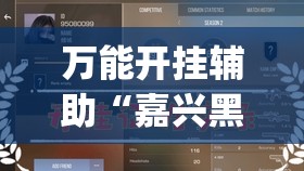 万能开挂辅助“嘉兴黑桃a胜率诀窍”(透视)其实确实有挂