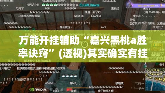 万能开挂辅助“嘉兴黑桃a胜率诀窍	”(透视)其实确实有挂